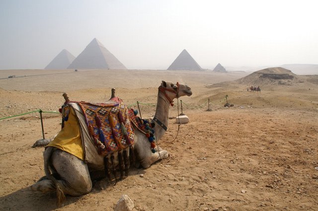 2007_egypttrip073